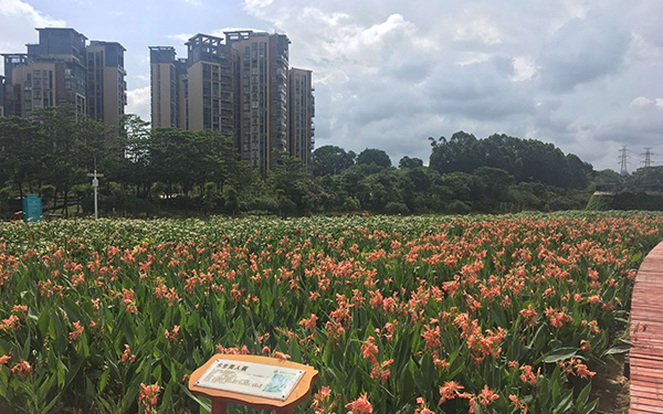 環(huán)境綜合治理2